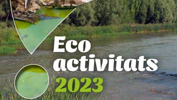 ECOACTIVIDADES· LOS PÁJAROS MIGRATORIOS DEL PARQUE DE LA MITJANA