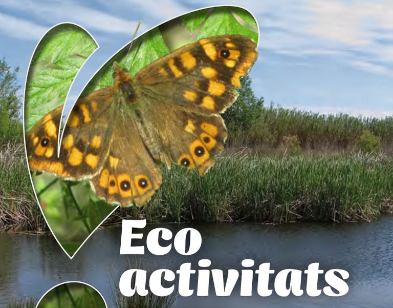 ECODESCUBIERTA · ¿QUÉ PASA EN EL PARQUE DE LA MITJANA CUANDO HACE  FRÍO?