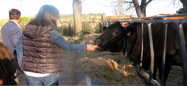 "ENGRANJA'T" EN LA HUERTA DE LLEIDA