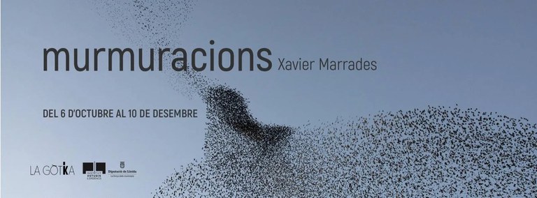 EXPOSICIÓN · MURMURACIONES DE XAVIER MARRADES