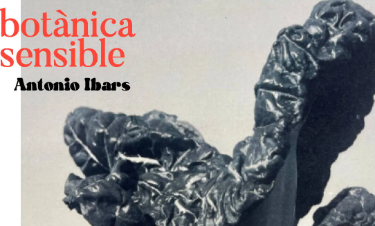 EXPOSICIÓN · BOTÁNICA SENSIBLE · ANTONIO IBARS