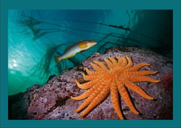 EXPOSICIÓN · COLORES DEL MUNDO