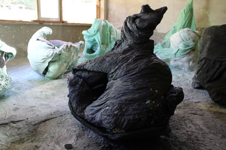 EXPOSICIONES · INVISIBLE Y BROTE DE PERAL