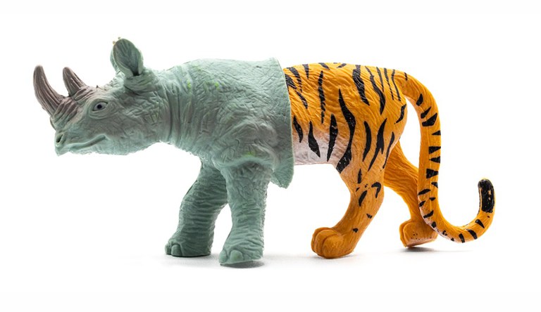 FESTIVAL DE "MÚSIQUES DISPERSES" · MUD