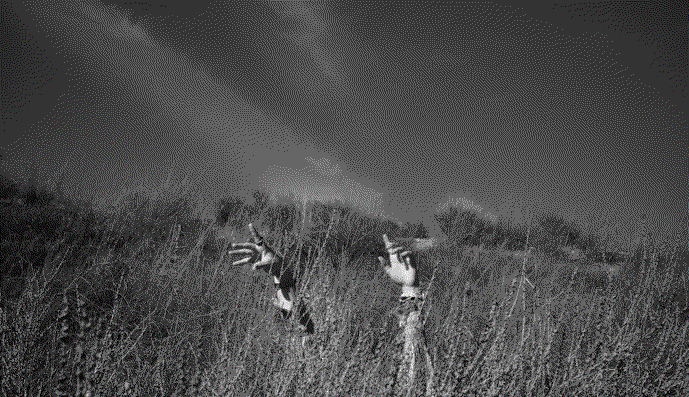 INAUGURACIÓN DE LA EXPOSICIÓN · CAPTURAS