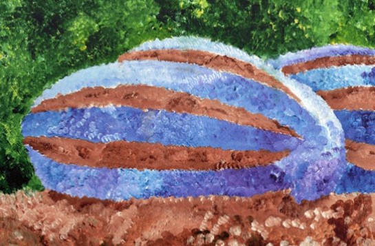 EXPOSICIONES DE LA PANERA