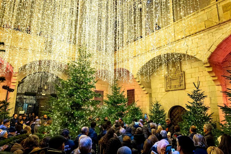 "NADAL A L'IEI" · UN BOSQUE DE LUZ