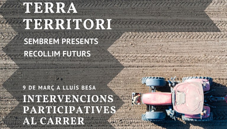 INTERVENCIONES PARTICIPATIVAS EN LA CALLE