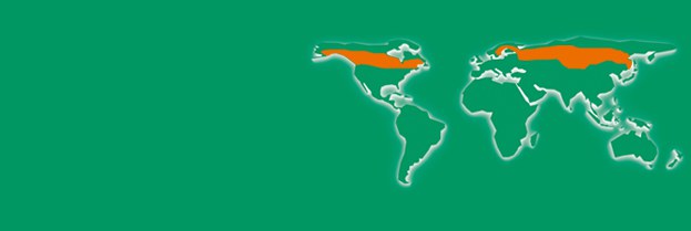 JARDÍN BOTÁNICO · ARBORÈTUM