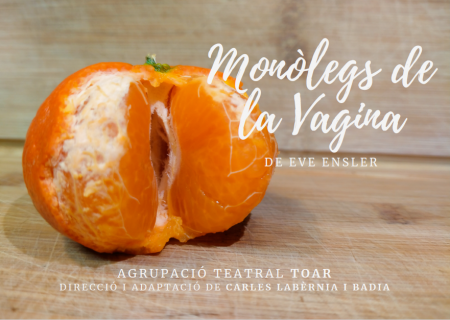 MONÓLOGOS DE LA VAGINA POR EVE ENSLER