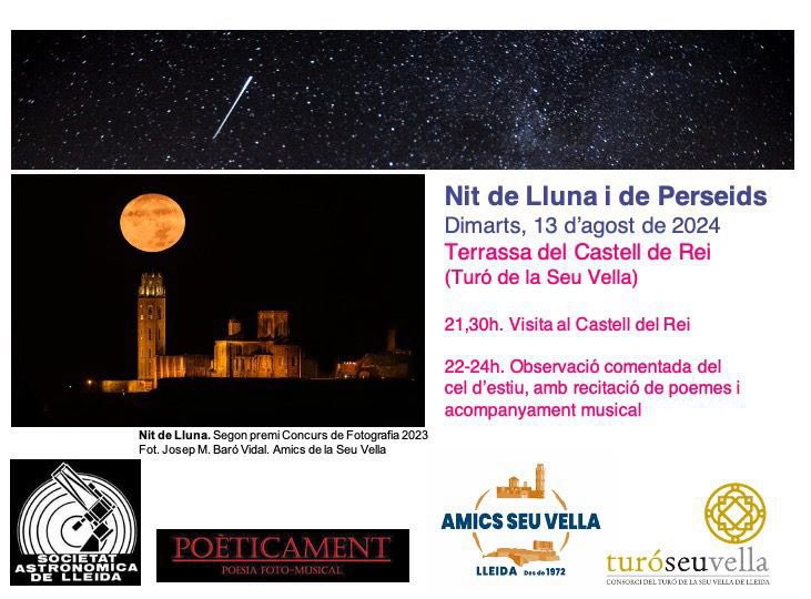 NOCHE DE LUNA Y DE PERSEIDES