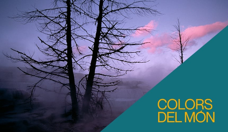 ¿POR QUÉ EL CIELO NO SIEMPRE ES AZUL? · VISITA EN FAMILIA