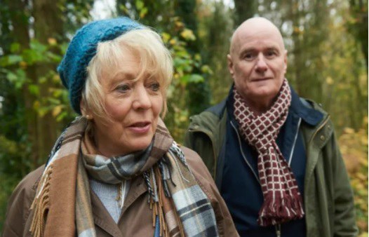 PROYECCIÓN · 23 PASEOS