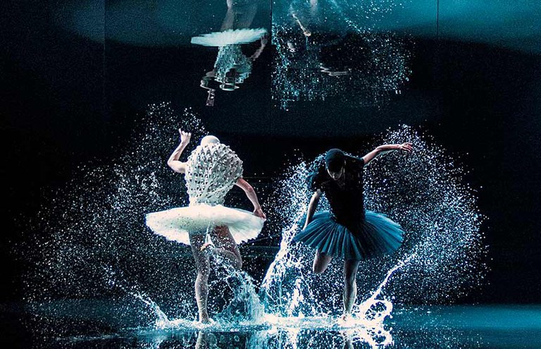 PROYECCIÓN · "UN LLAC DELS CIGNES. UN LLAC SURREALISTA"