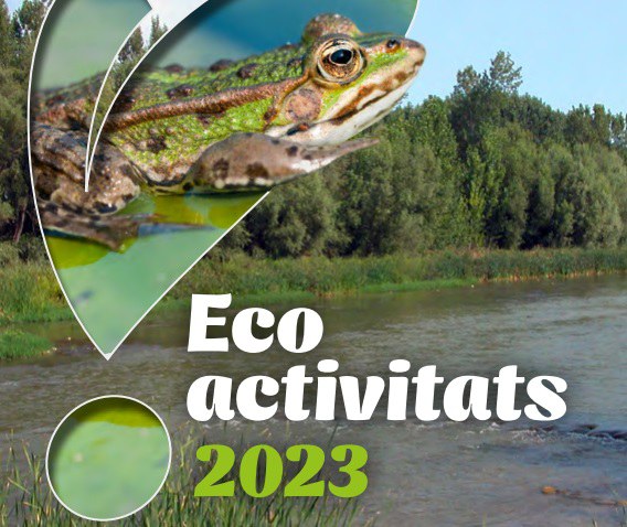 PUNTO DE OBSERVACIÓN + BIODIVERSIDAD · INVERTEBRADOS Y ARTRÓPODOS PRESENTES EN LA CIUDAD