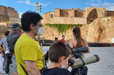 PUNTO DE OBSERVACIÓN + BIODIVERSIDAD · LOS PÁJAROS DESDE LA SEU VELLA