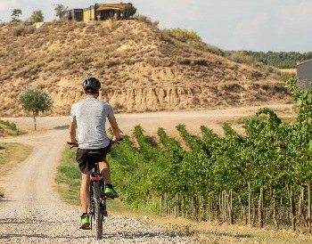 RUTA CICLOTURÍSTICA · PEDALANDO ENTRE VIÑAS