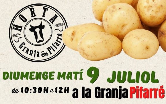 TALLER AGROCULTURAL DE RECOGIDA DE PATATAS