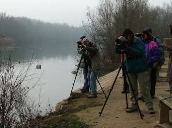 TALLER + BIODIVERSIDAD · CENSO DE AVES HIBERNANTES EN LOS ESPACIOS HÚMEDOS DE LLEIDA