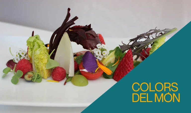 TALLER · COMEMOS EN COLORES