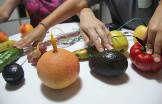 TALLER DE CIENCIA · VEGETALES ELECTROMUSICALES