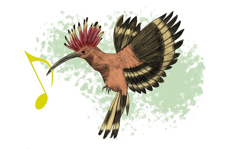 TALLER FAMILIAR · "LA PIUPIULÀ I L'ORQUESTRA DEL BOSC"