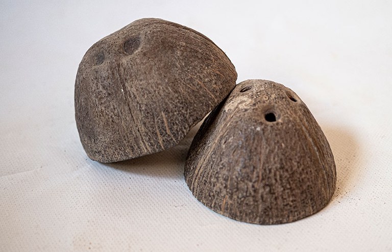 TALLER · FOLEY: SONIDOS Y CINE