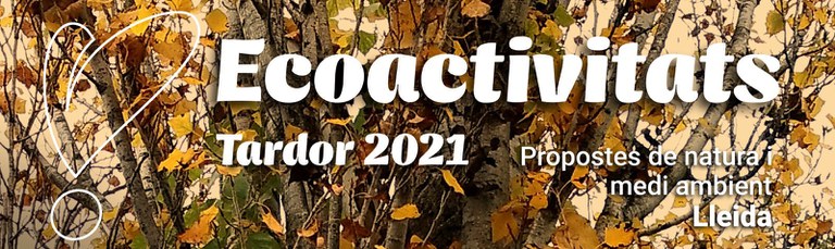 TALLER SHOWCOOKING PARA APRENDER A PREVENIR EL MALGASTO ALIMENTARIO EN LA COCINA