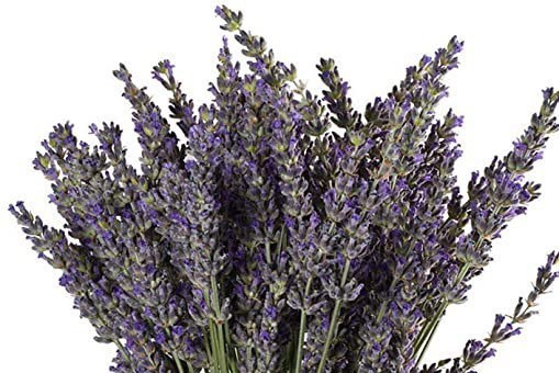 TALLER · TE GUSTARÍA TENER UN RAMO DE LAVANDA EN TU CASA?