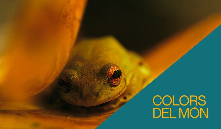 VISITA A LA EXPOSICIÓN · COLORES DEL MUNDO