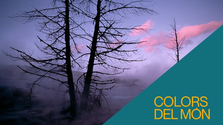 VISITA EN FAMILIA: ¿POR QUÉ EL CIELO NO SIEMPRE ES AZUL?