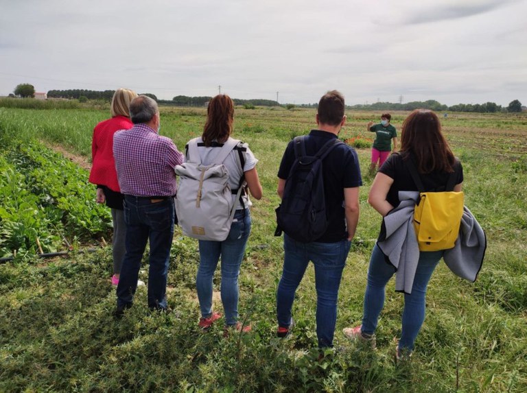VISITA GUIADA A LA FINCA DE HORTALIZAS ECOLÓGICAS DE LA ASOCIACIÓN LA CRISTALERA