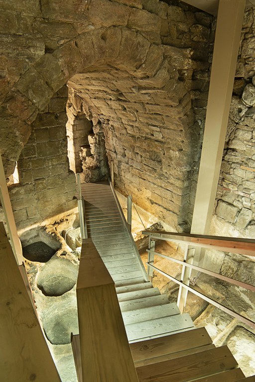 ADOBERIES_2025_CactuSoup-18_Media.jpg.