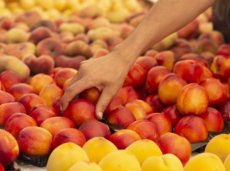 mercatpomeshoritzontal2020IolandaSebeTLL02.jpg.